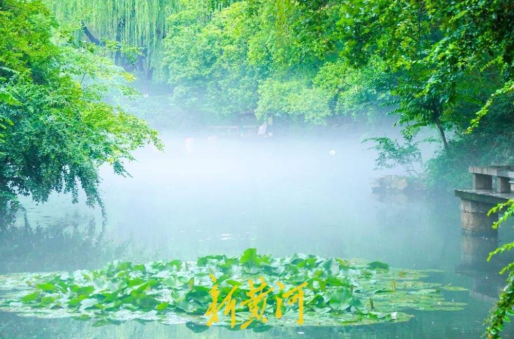 一场急雨过后 趵突泉公园泉池现“云雾润蒸”奇观