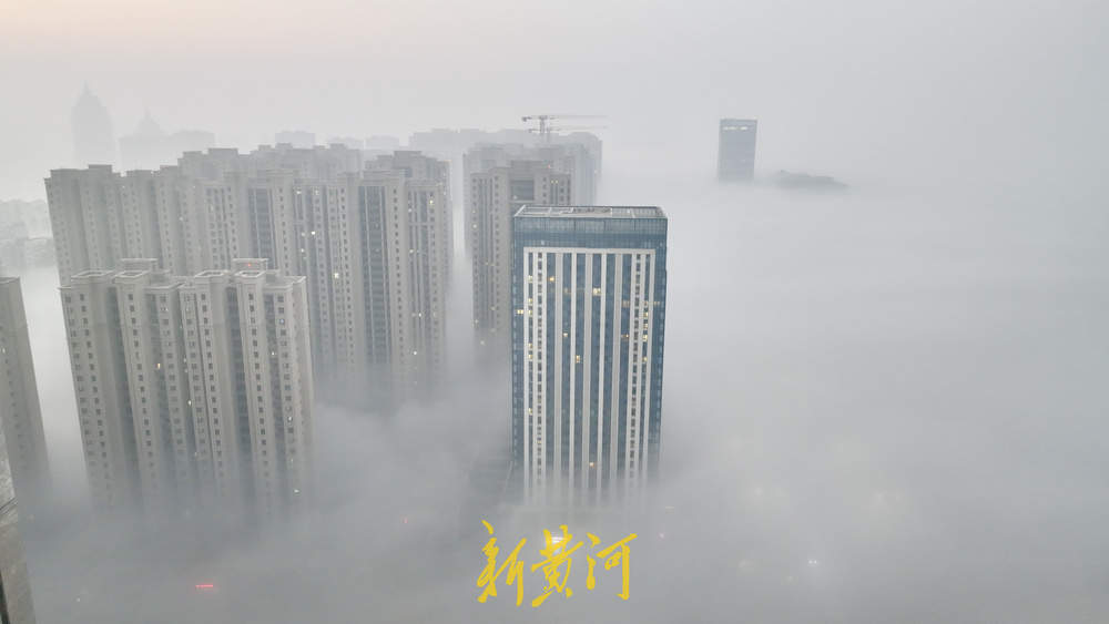 平流雾如被覆城 泉城清晨现朦胧奇景