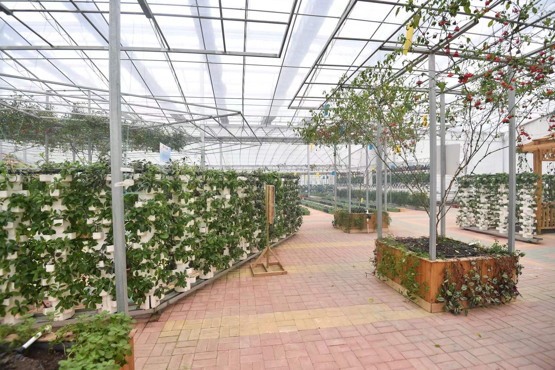 奋进在泉城沃野 奏响乡村振兴强音——深入学习贯彻习近平总书记视察山东重要讲话精神