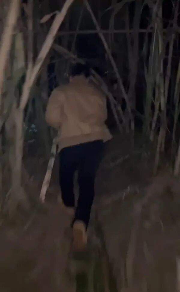 四川眉山“偷甘蔗”现场：民警到场维持秩序，老板称以前想当网红，现在累得笑不出来