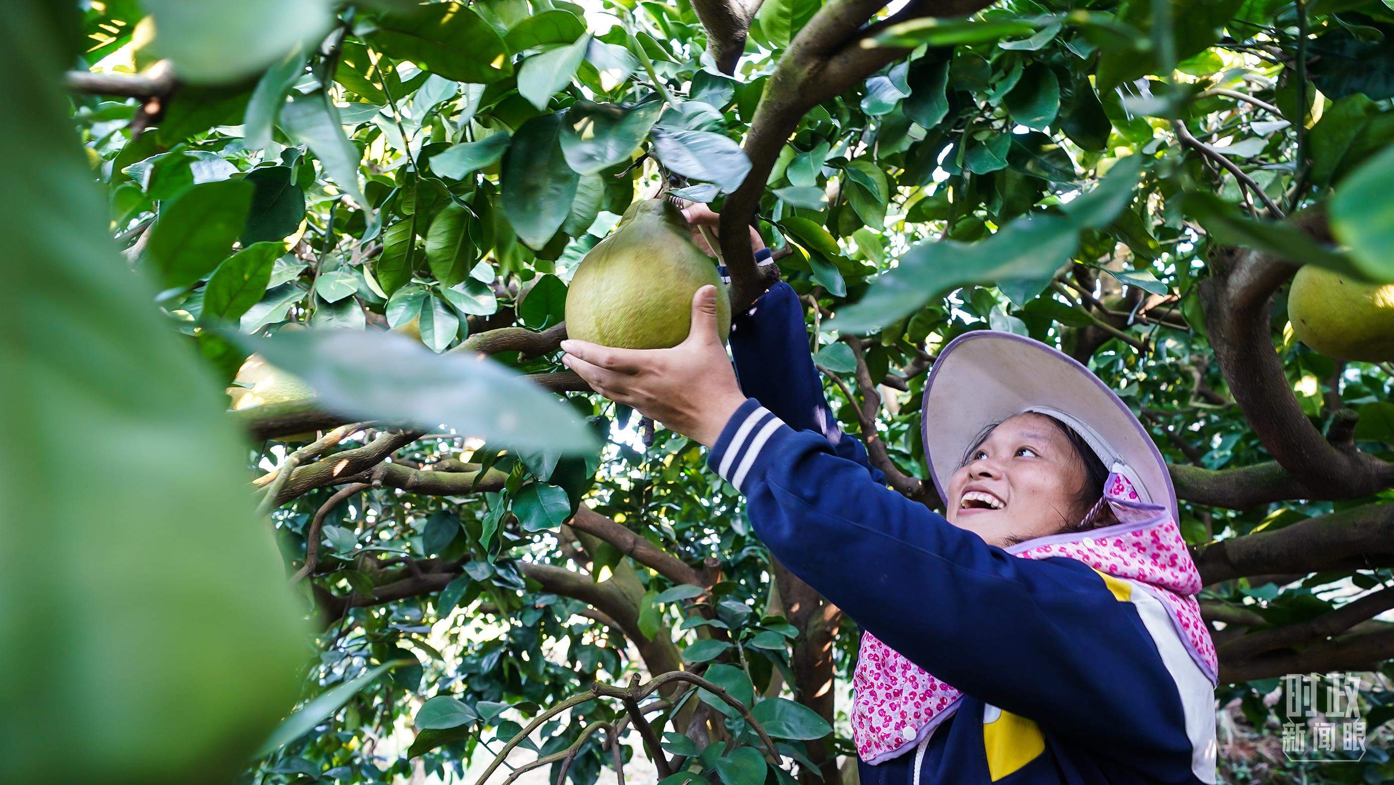 时政新闻眼丨习主席二〇二六年新年贺词，致平凡闪光的我们