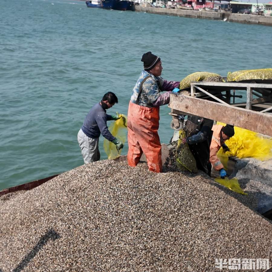 升温催农忙！山东抢抓农时备春耕