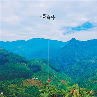 兴业富民 乡村和美（在中国·看中国）