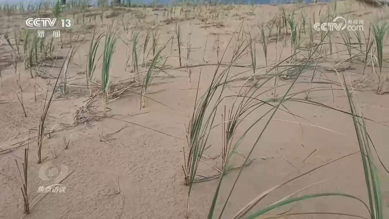从雪山草地到治沙一线 长征精神永不褪色