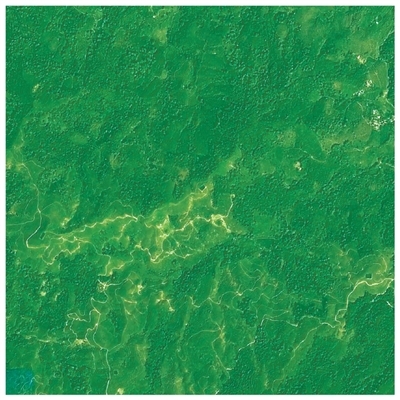 从三组卫星遥感图看生态保护成效（世界地球日特别报道）