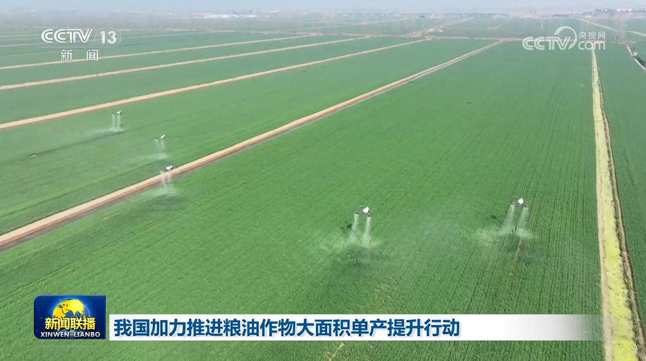 我国加力推进粮油作物大面积单产提升行动