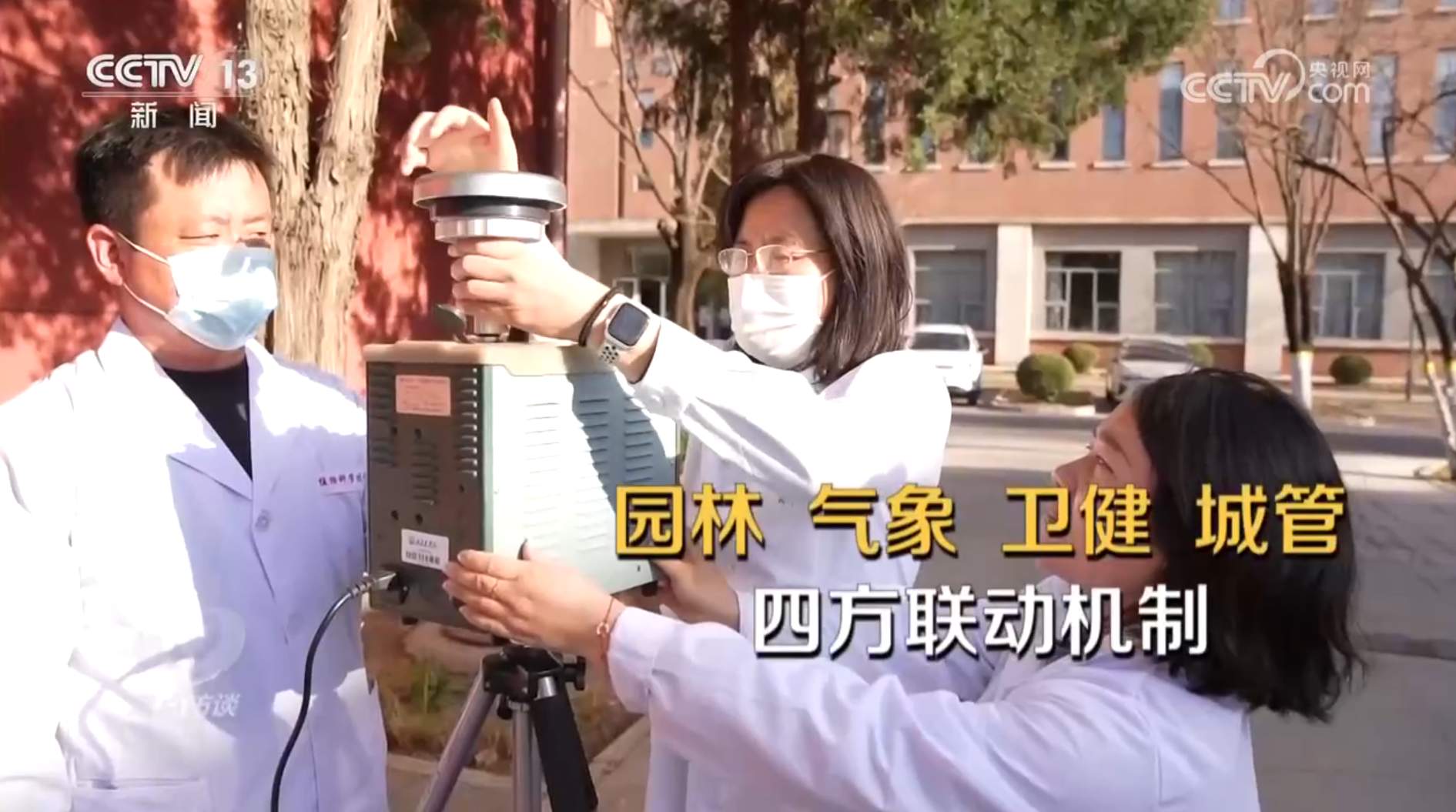 焦点访谈|花粉过敏成“隐形烦恼”,如何应对?一文了解