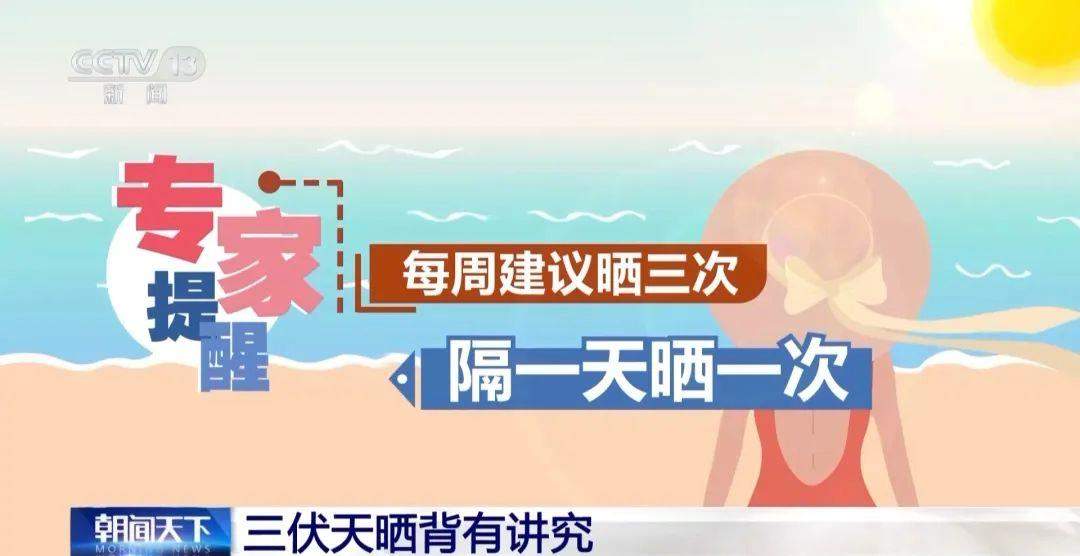 在西夏陵寻迹中华