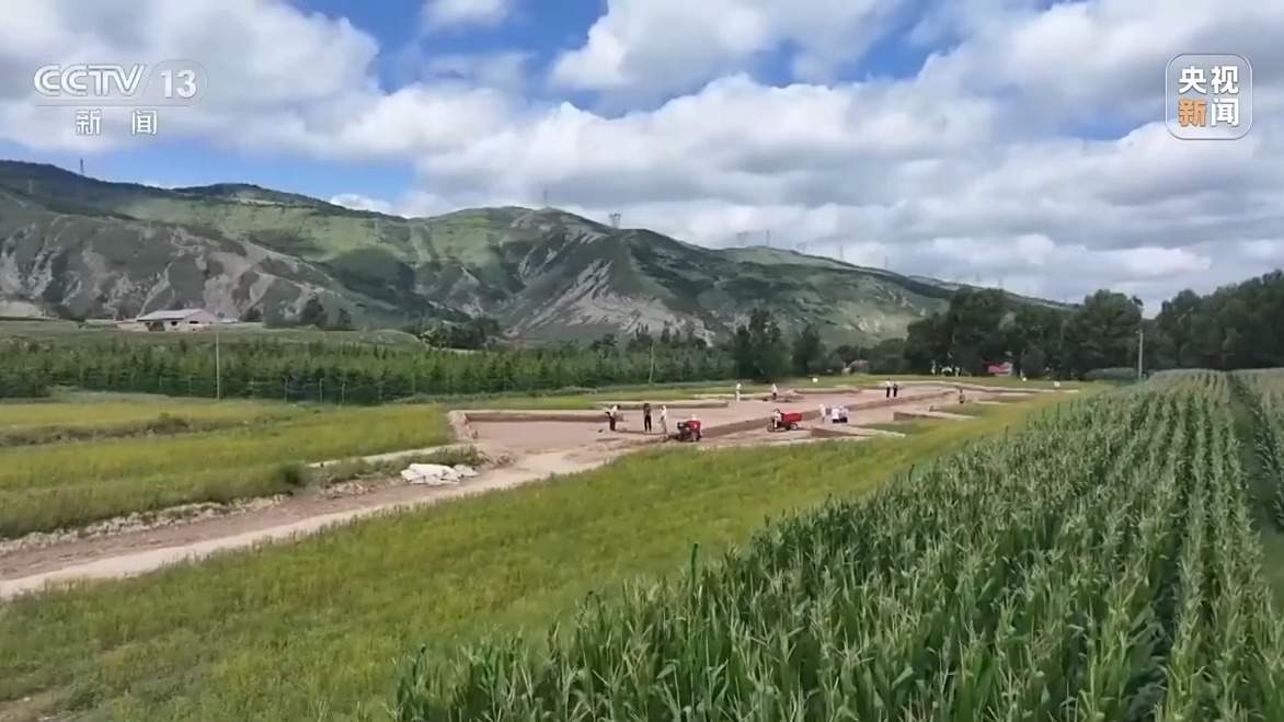 这壶酒“藏”了约2300年 青铜壶内检出先秦古酒