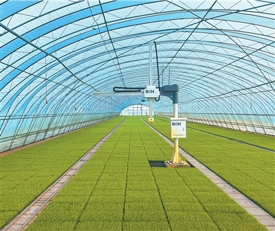 兴业富民 乡村和美（在中国·看中国）