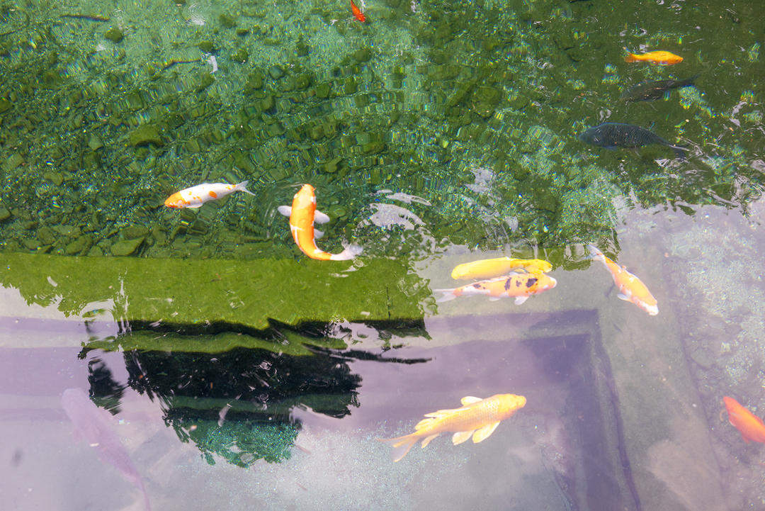 一年四季 泉在济南丨明水古城的宁静与诗意