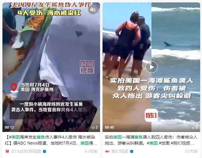 真相大白！惠州双月湾有鲨鱼咬人?假的 广东网友“打假”