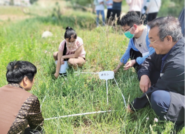 记录物种超2000种，发现濒危植物8种 济南千佛山—龙洞生物多样性调查成果丰硕