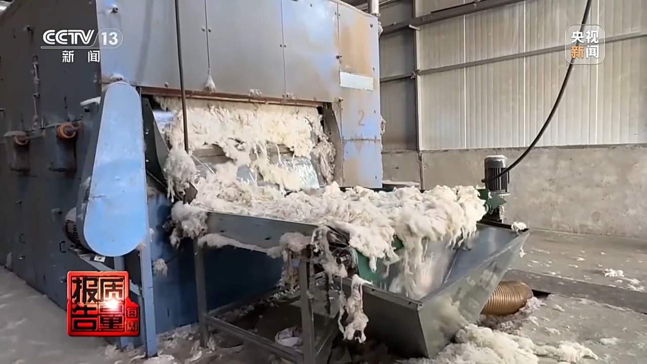 “绵羊绒”竟一根羊绒都没有 个别团体自创概念误导消费者
