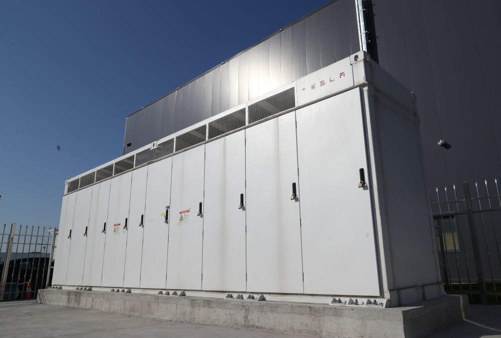 浦江新绿见春信上海打造绿色低碳产业集群观察