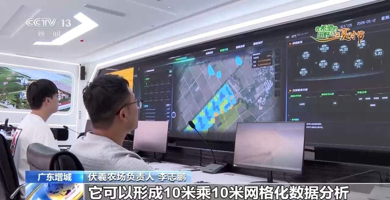 楼里种水稻，一年收四次 探访河套合作区里的室内“稻田”