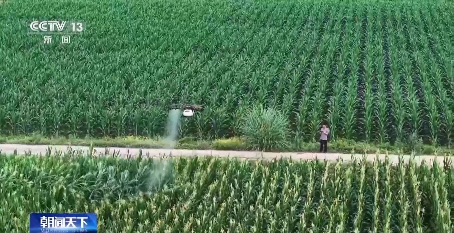 首部耕地保护专门立法 专家解读多项“首次”