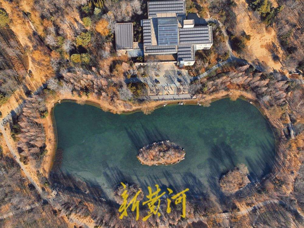 “泉”在济南冬游记｜济南森林公园冬䪨如诗