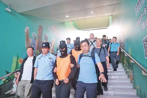 多维度提升侦查打击效能，精进槐荫刑警力拓平安广度