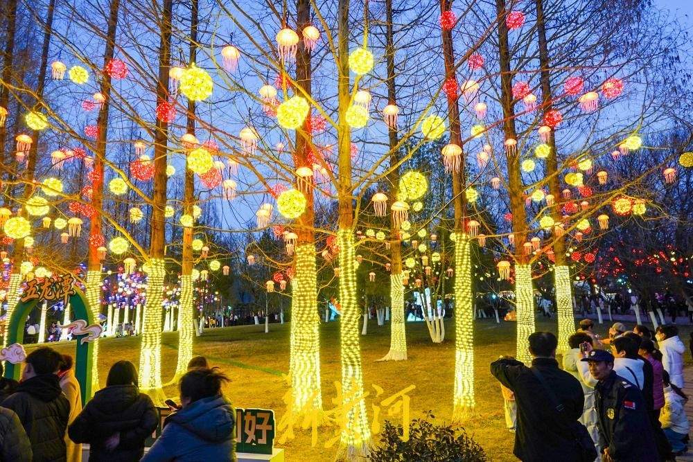 火树银花映名泉 济南灯会流光溢彩醉游人