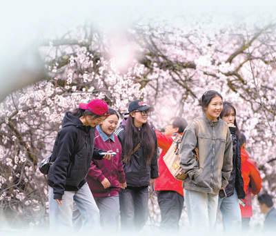 扎根雪域高原！超万名干部人才接力援藏三十年