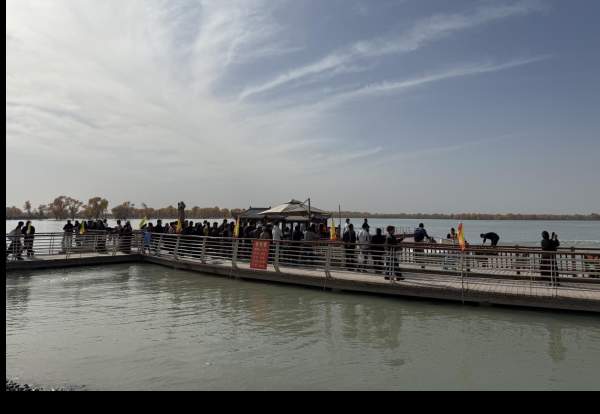 沙雅县2025年胡杨季启幕 世界最大胡杨林绽放金色魅力