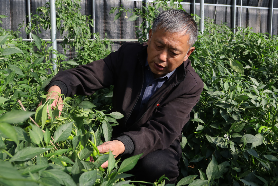 融媒·先锋｜一个党支部的“借船出海”——南坛“掘金”记