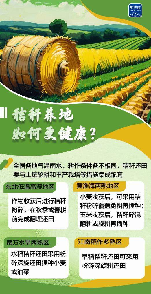 变饲料、转能源、种菌菇……秸秆原来这么“能”！