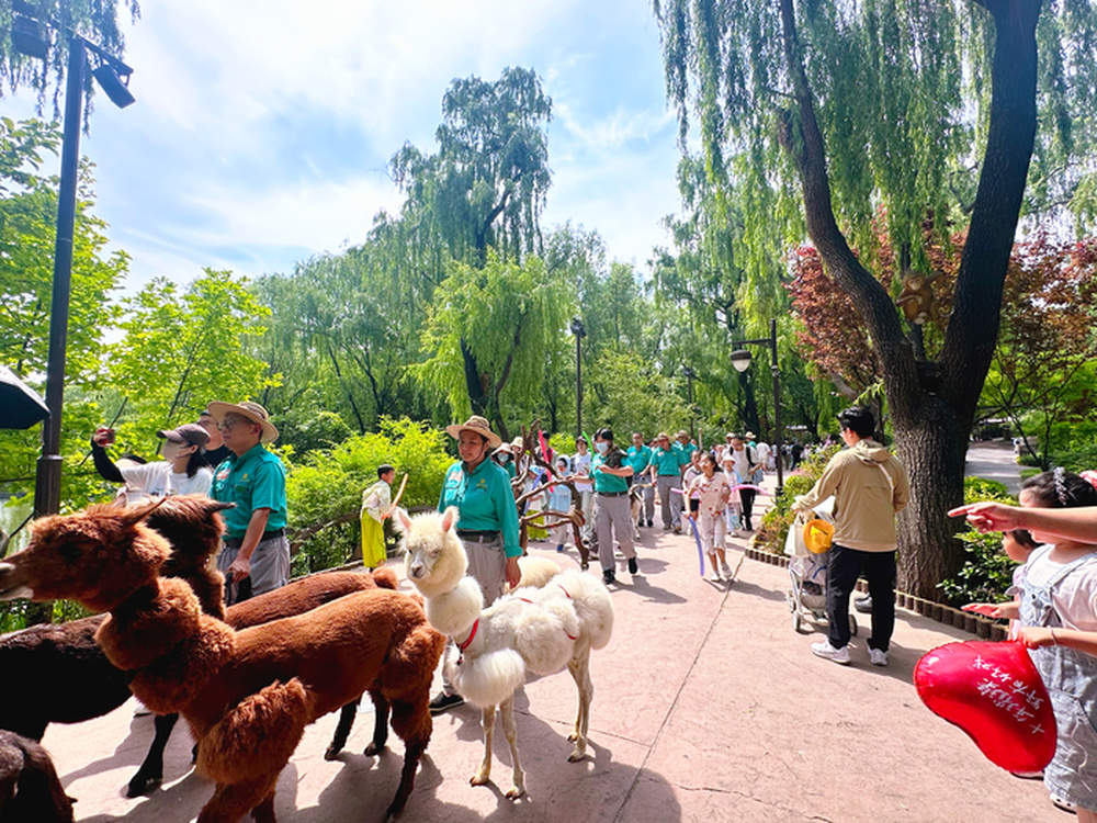 毕业季，济南这一景区面向全体在校大学生，开放免费NPC招募体验