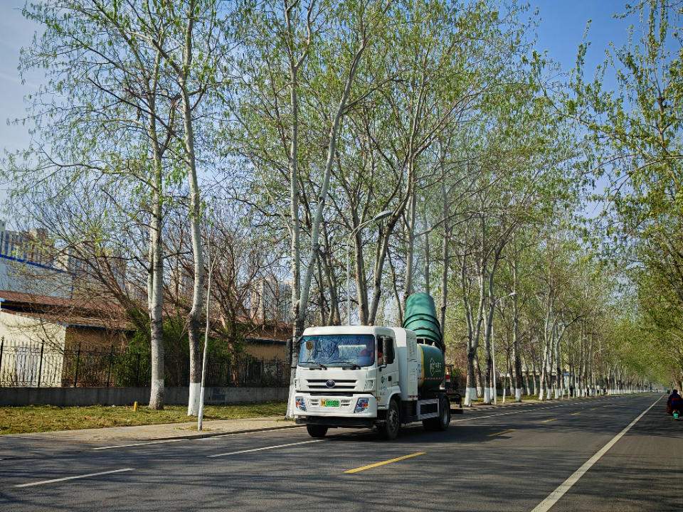 漫天飞絮退退退！山东多地放大招，守护春日好空气
