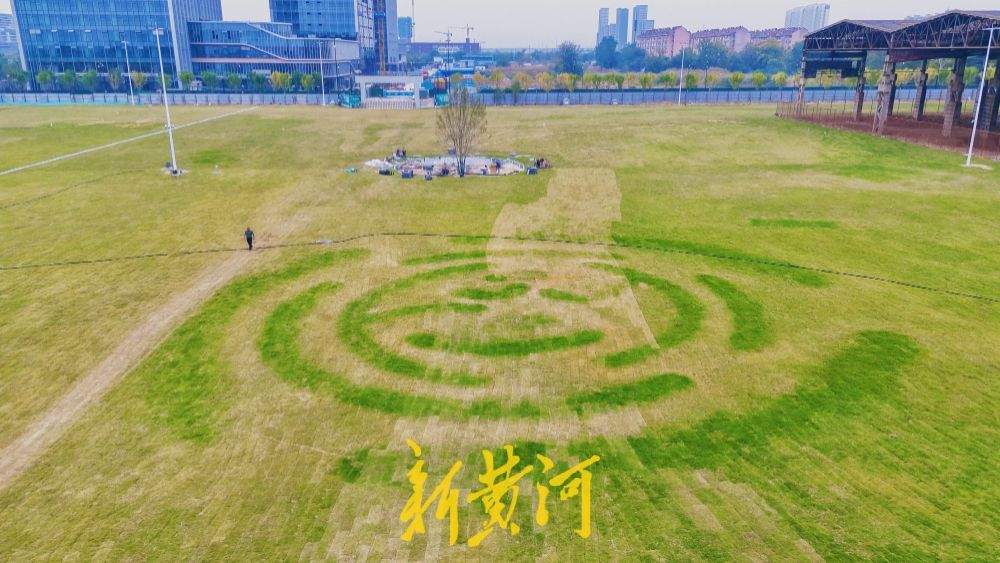 超5万平方米共享草坪亮相，济钢工业记忆融入生态绿意