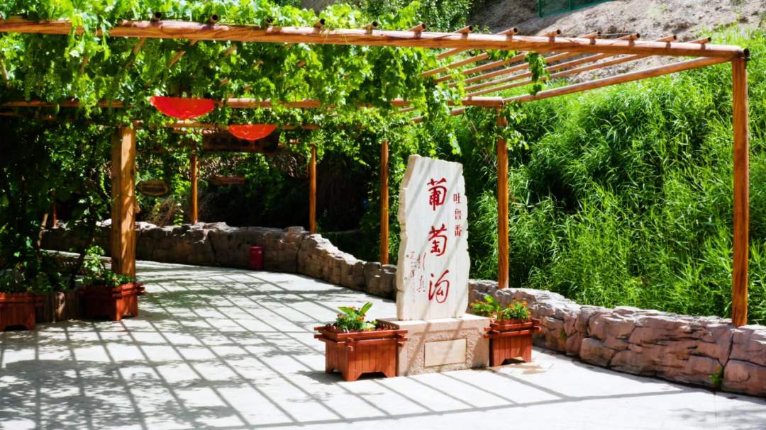 一次购票终身游！这里“放大招”了