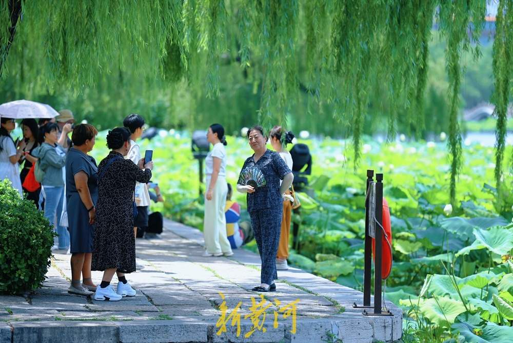 一年四季 泉在济南｜泉城高温持续，游客大明湖畔赏荷避暑享惬意