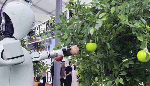 机器人上演“指尖芭蕾” 世界机器人大会勾勒未来图景