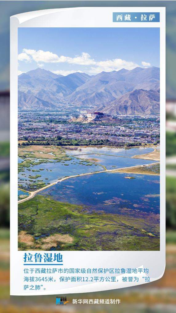 世界环境日｜美丽中国我先行 “绿色长城”阅雪域