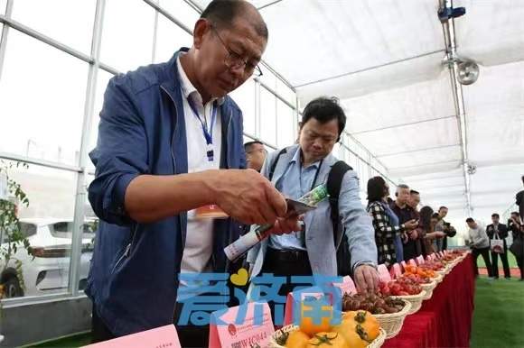 不想出远门，“五一”怎么过?手握贴心攻略，玩转天桥!