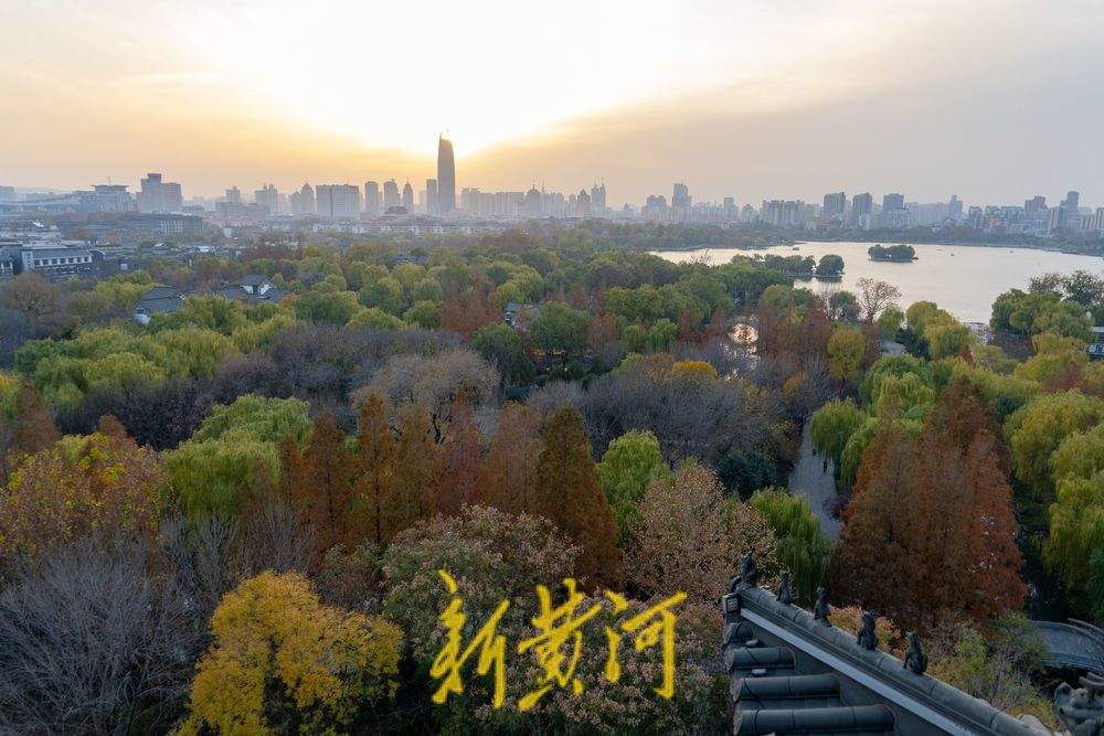 杉红柳绿！无人机视角解锁大明湖诗意冬妆