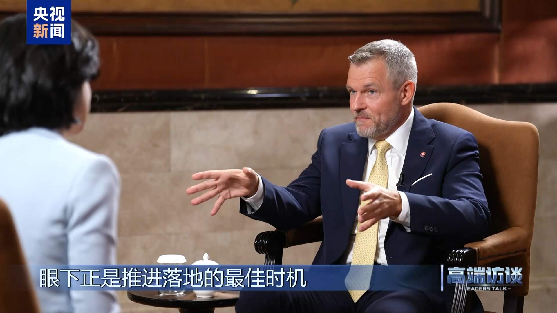 高端访谈丨专访斯洛伐克总统彼得·佩列格里尼