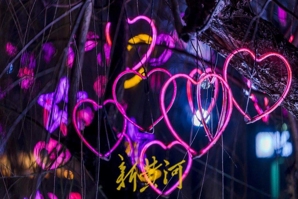 【网络中国节·春节】“泉”在济南过大年｜年味十足！花灯闪耀黑虎泉畔