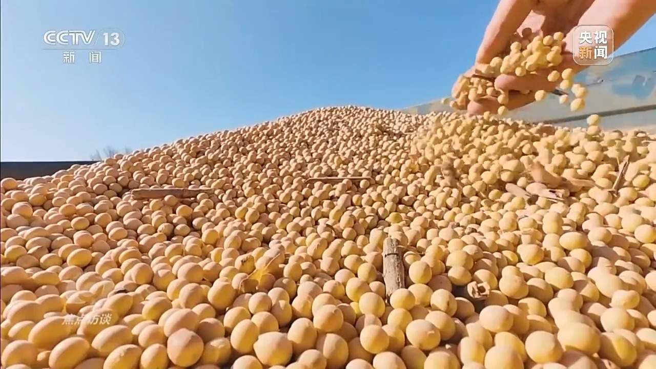 从抗旱到抢收 解读粮食增产背后的“密码”