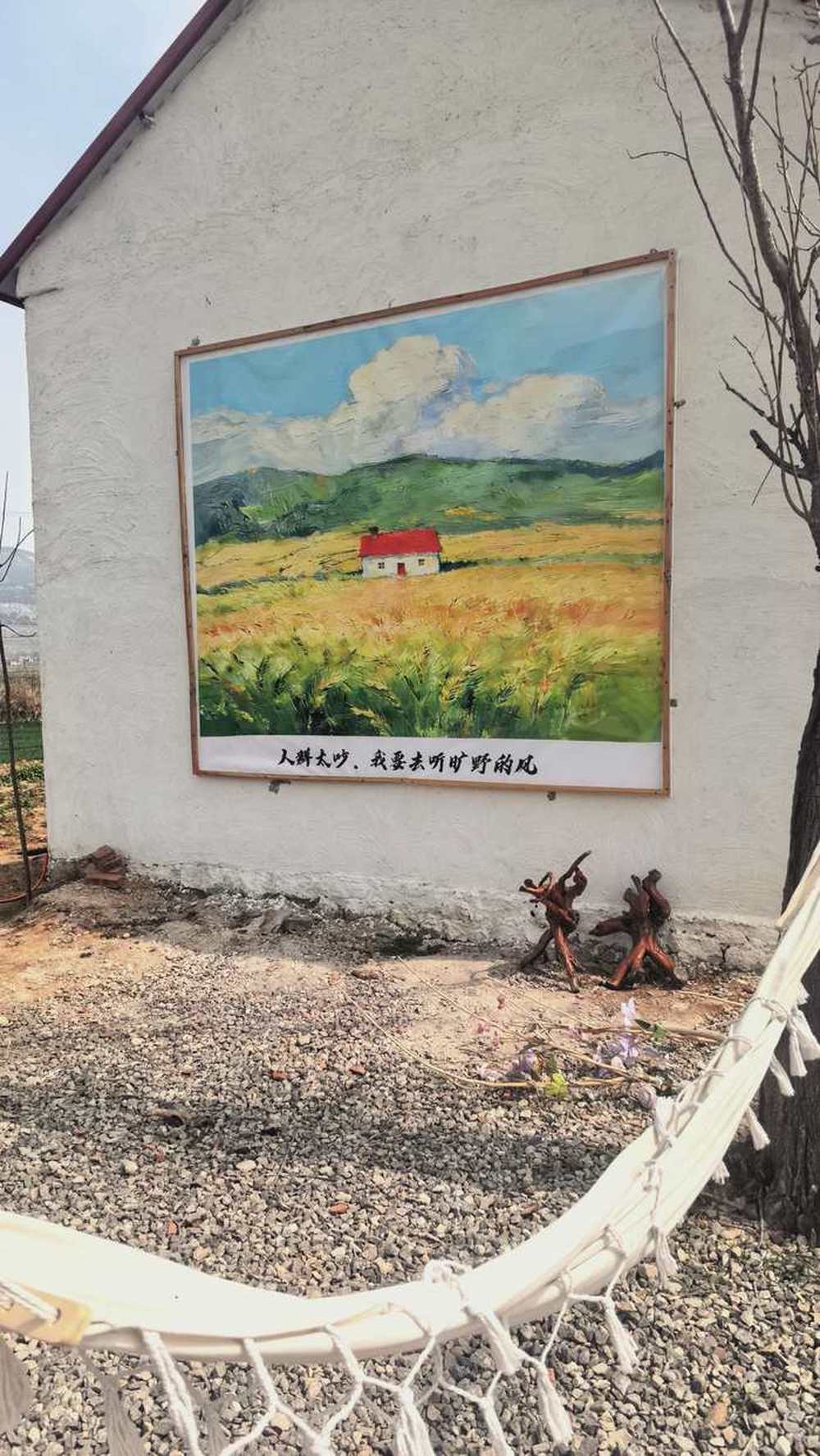 麦田里的咖啡香：济南90后情侣开了一家“村咖”，把诗和远方搬进村庄