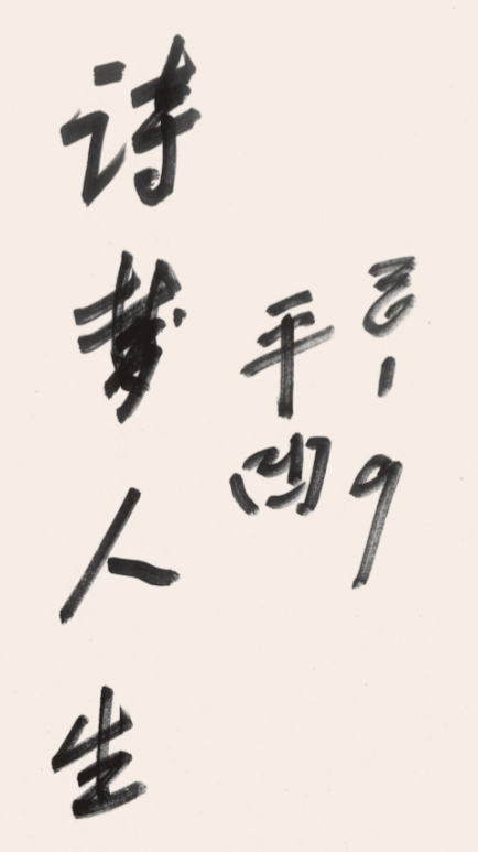 翰墨映初心 诗书述流年——王安龙《踏歌行》诗书文集座谈会在济南举行