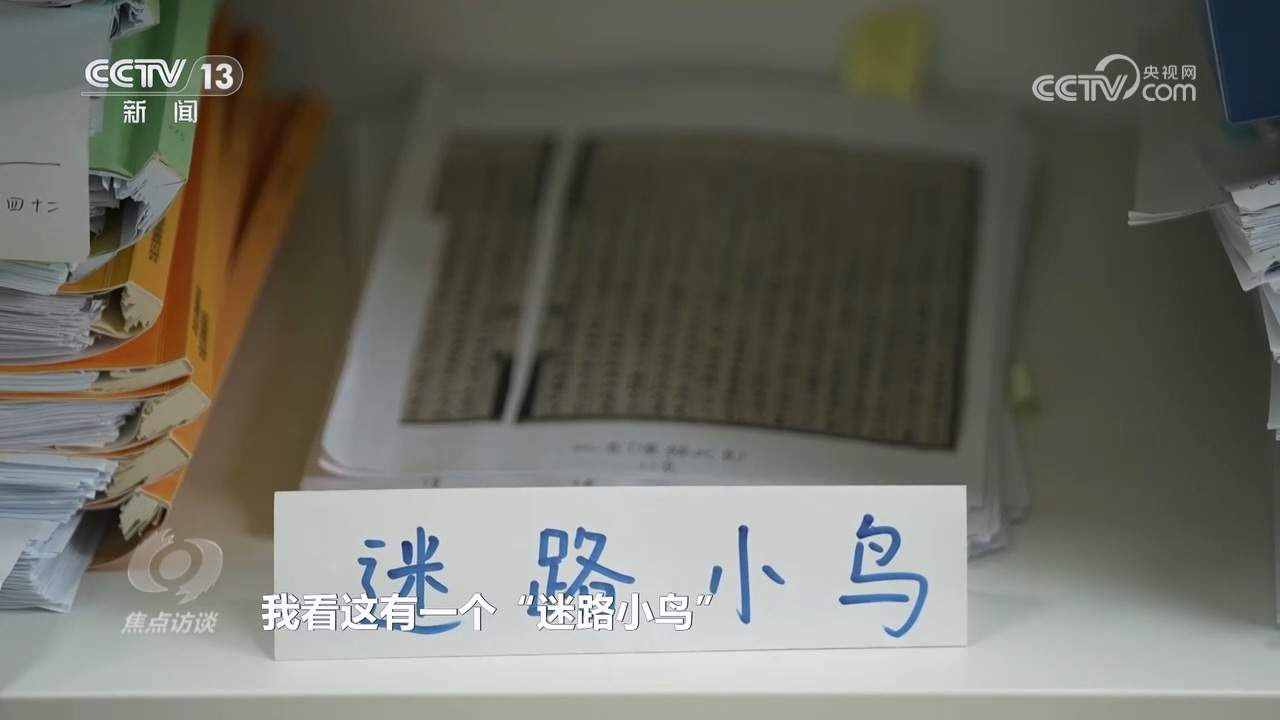 焦点访谈｜做好新时代古籍工作 让中华文明在字里行间绵延不绝