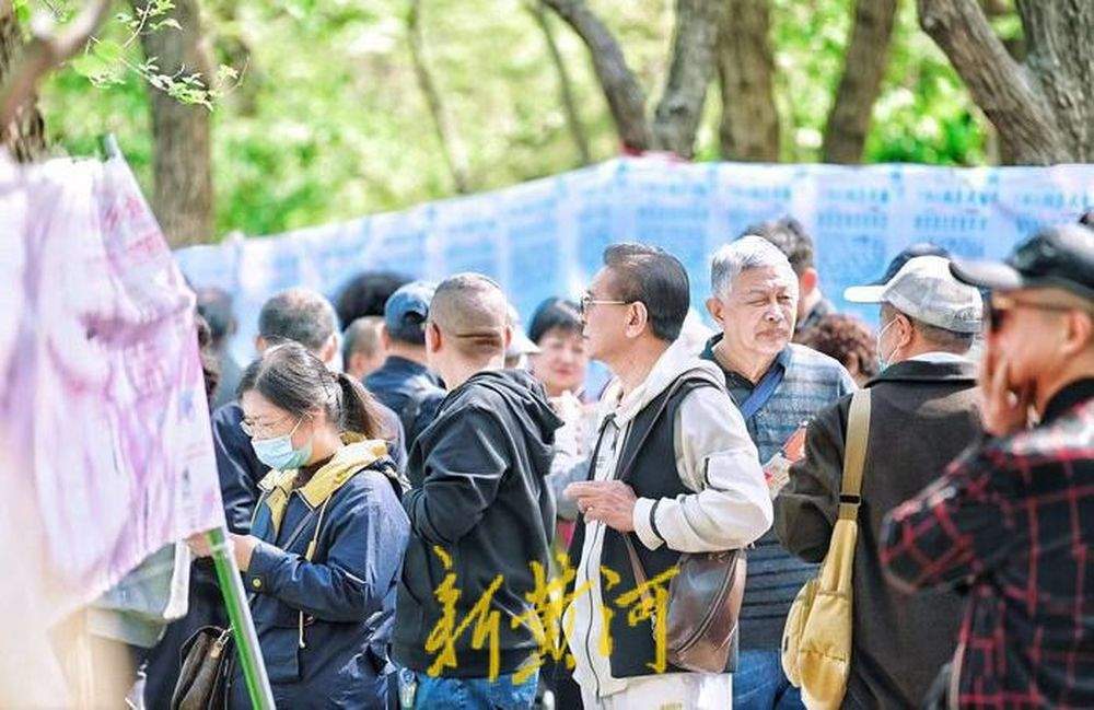 “泉”在济南过五一｜诗词对答免费游园，第18届千佛山相亲大会浪漫开启