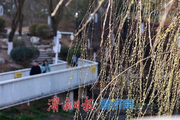 腊山河柳丝拂岸 济南春日美景引游人