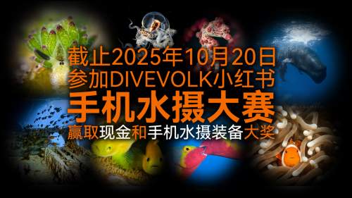 DIVEVOLK发起首届“我的手机水下奇遇”全球摄影大赛，旨在重新定义水下影像叙事