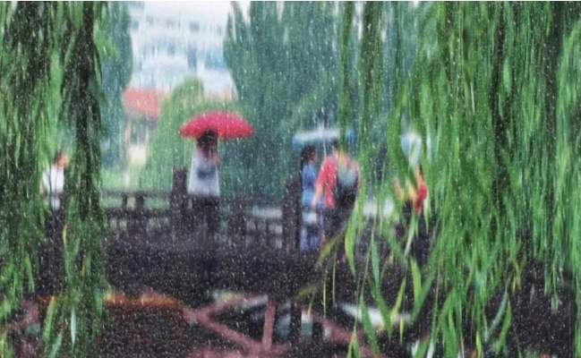 雨雨雨！济南夜间全市都有，局地中雨+7~9级大风！