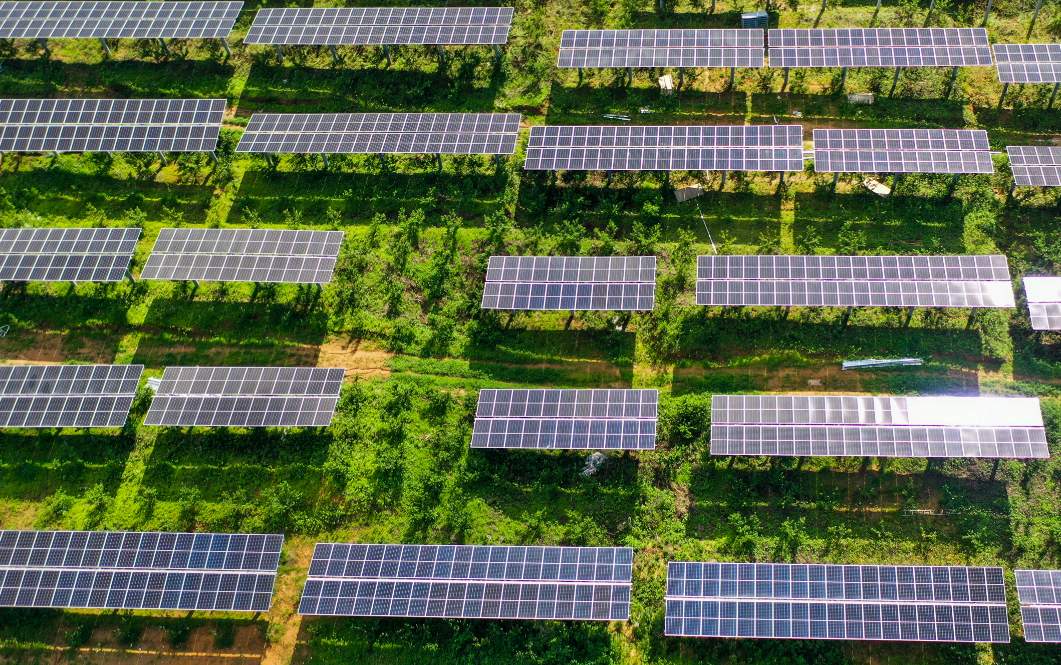 民营企业家：信心如春芽拔节生长