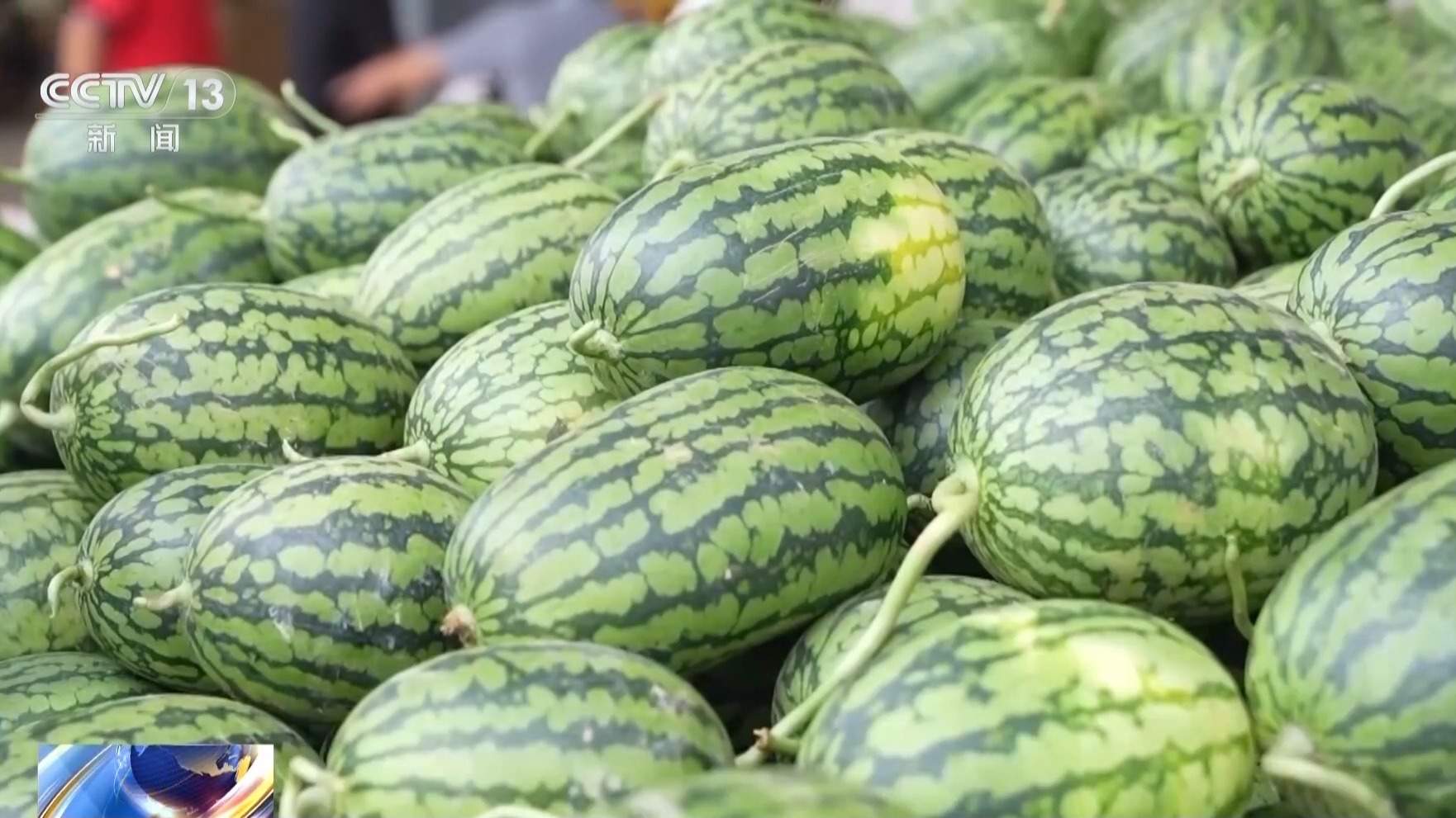 打着“助农”旗号设局 警方破获新型涉农诈骗案