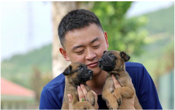 山东给搜救犬装上“基因芯片”与“空中天眼”